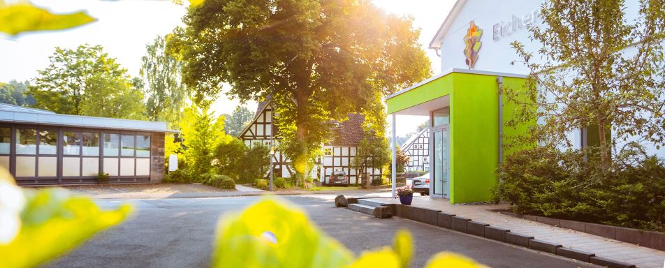 Auf der linken Seite des Bildes ist der grüne Eingangsbereich der Eichenklinik zu sehen. Im Fokus ist ein großer Eichenbaum so wie die Umgebung um die Praxis.