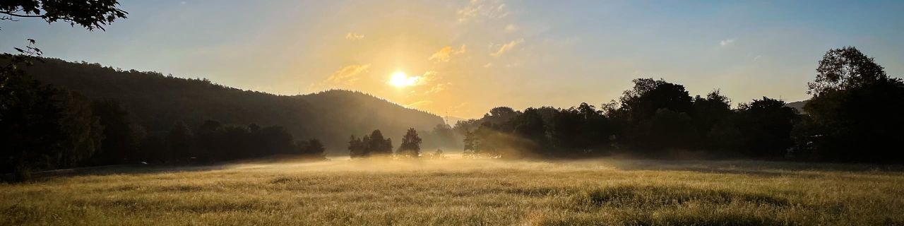 Landschaft bei Sonnenaufgang mit leichtem Nebel über einer Wiese. Die Sonne scheint durch Wolken, taucht das Feld in warmes, goldenes Licht. Im Hintergrund sind Bäume und Hügel als Silhouetten zu erkennen.