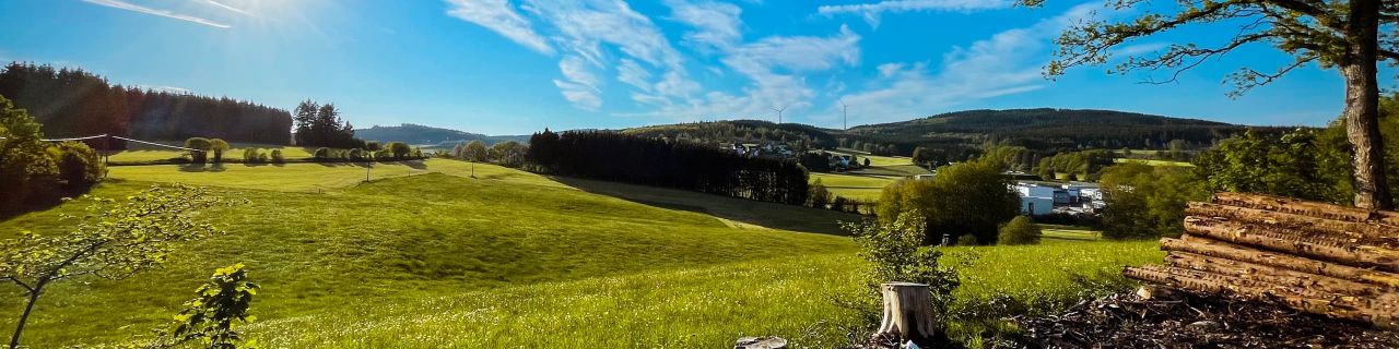 Landschaft mit grünen Hügeln unter blauem Himmel mit weißen Wolken. Im Vordergrund liegen ein Baumstumpf und gestapelte Holzscheite, dahinter weite Wiesen, verstreute Bäume und ein dichter Wald im Hintergrund.