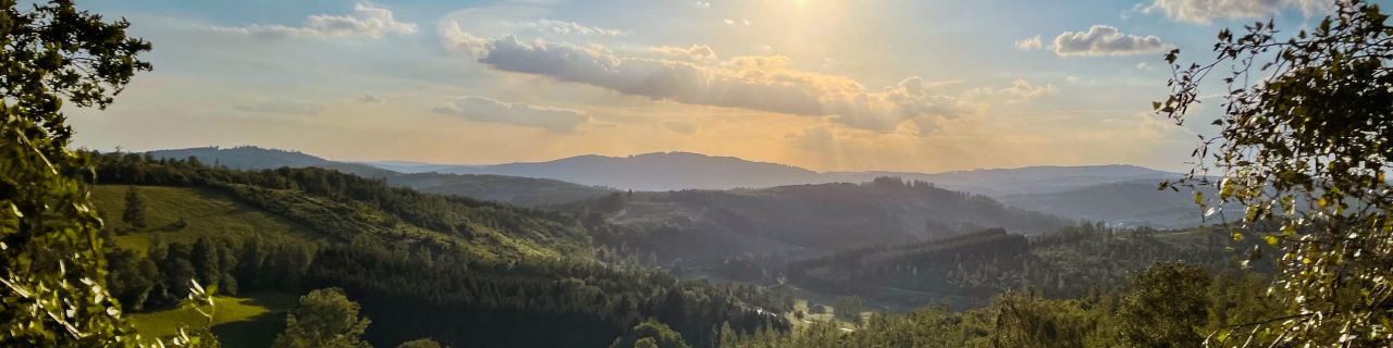 Ein weiter Blick über grüne Hügel und Wälder, durchzogen von Sonnenstrahlen und Wolken.